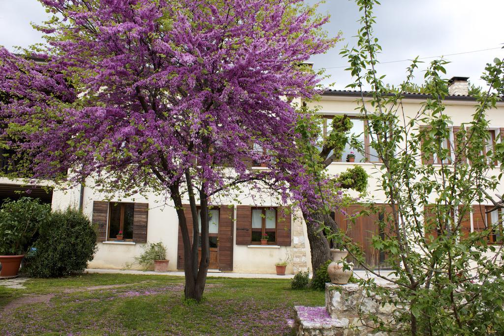 B&B Alte Paderno del Grappa Eksteriør billede